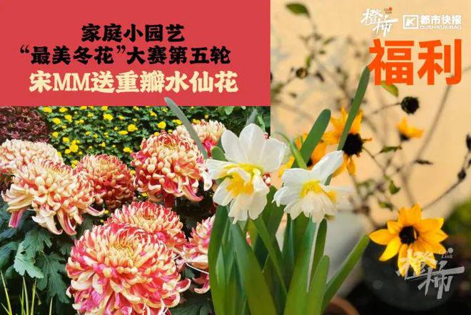 霸王茶姬动物手机支架……橙柿超多福利送送送尊龙凯时app时髦人都有的巴拉克拉法帽、(图2)
