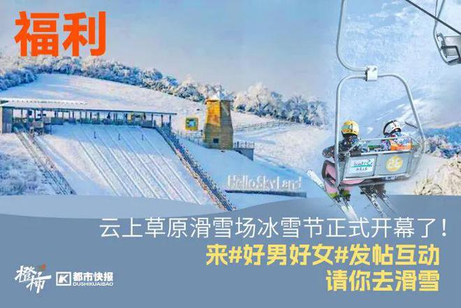 霸王茶姬动物手机支架……橙柿超多福利送送送尊龙凯时app时髦人都有的巴拉克拉法帽、(图7)